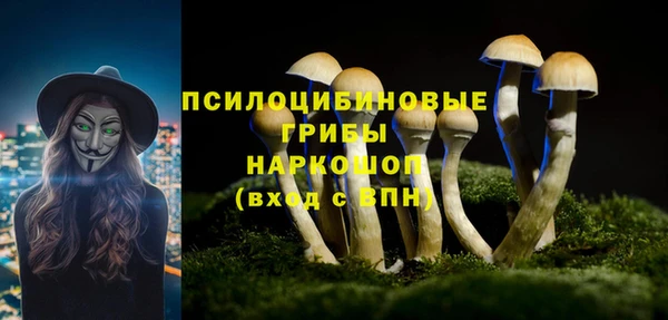 тгк Балабаново