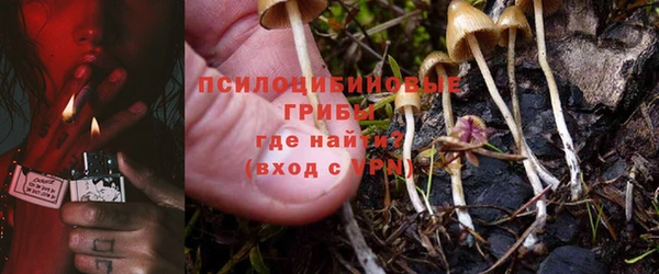 дурь Баксан